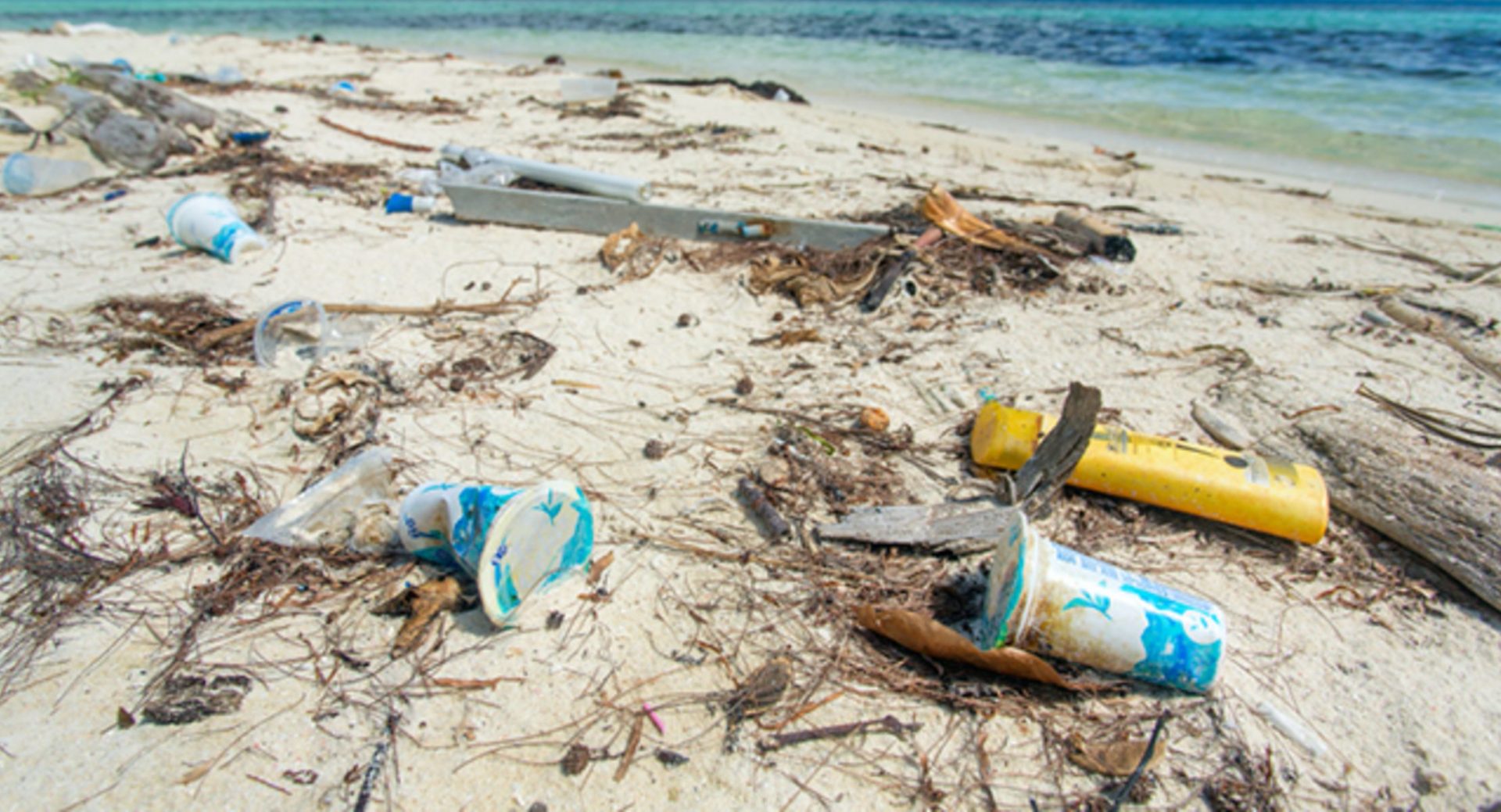 déchets plage pollution