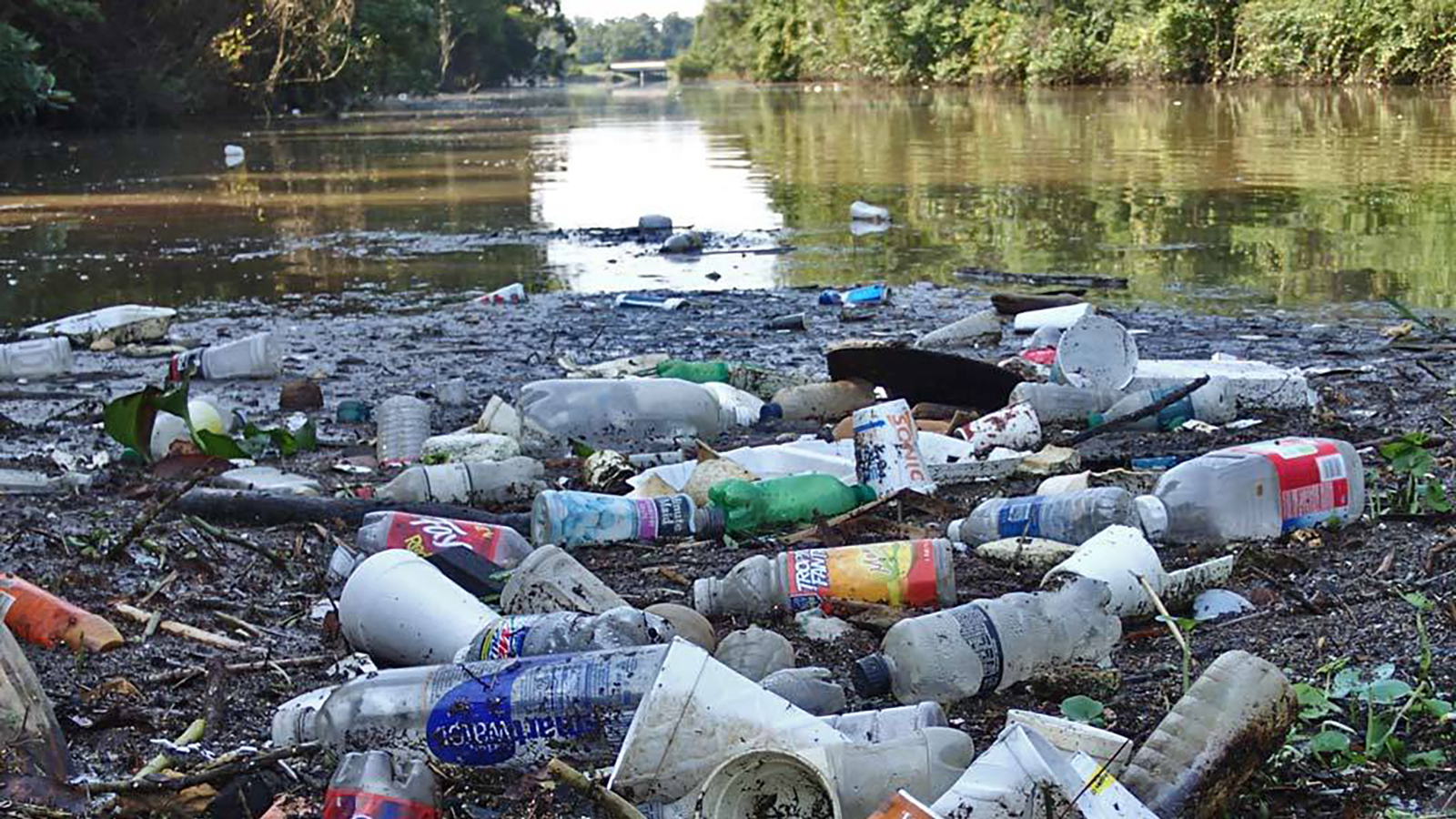 déchets plastique