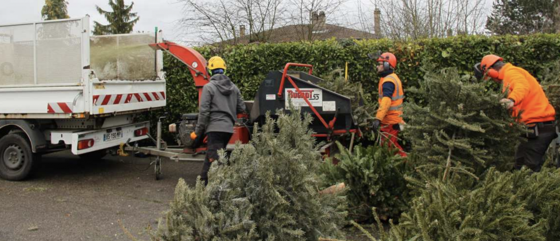 broyage broyat sapins