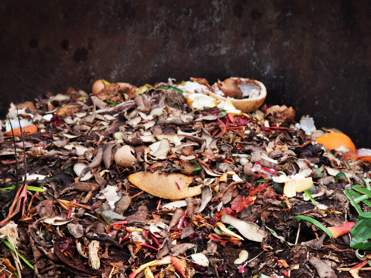 déchets organiques