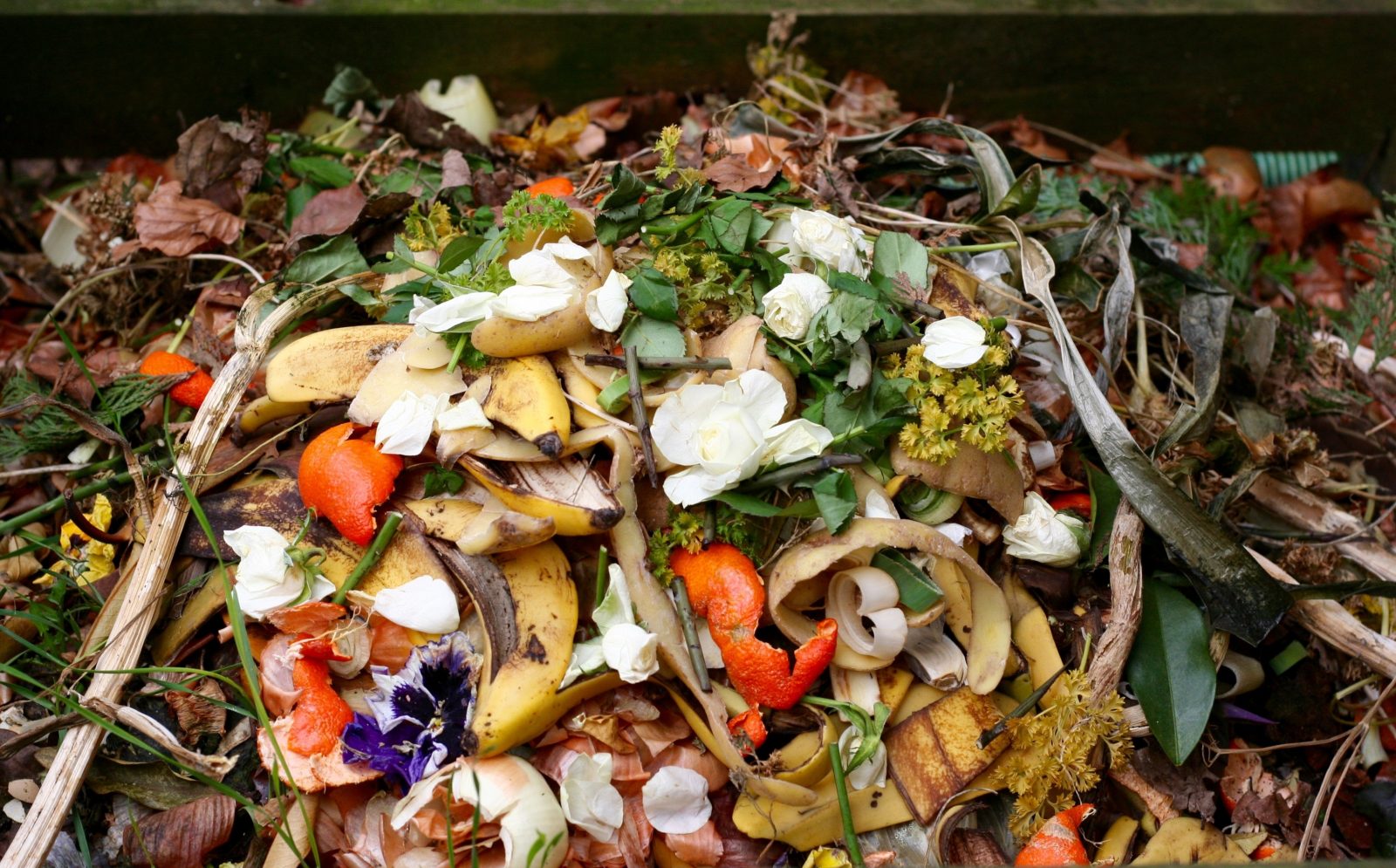 Déchets organiques ou Biodéchets