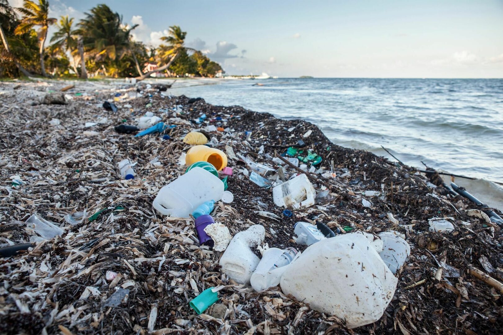 déchets marins