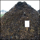 compostage