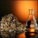 BtL (Biomass to Liquid)