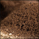 compost