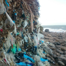 Déchets havrais à la mer...