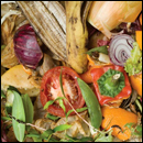 déchets fermentescibles