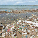 Pollution du littoral par les déchets, plastiques.