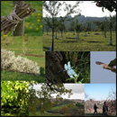 biodiversité