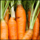 carottes