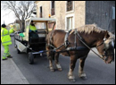 collecte hippomobile des déchets