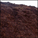 compost