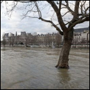 crue