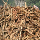 déchets bois