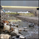 déchets évacués des halles après l’incendie et abandonnés à ciel ouvert (© Robin des Bois)