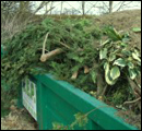 déchets verts