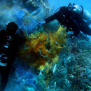 Pollution sous marine, aux déchets plastiques