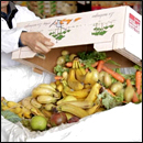 gaspillage alimentaire