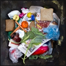 gaspillage alimentaire
