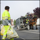 collecte hippomobile des déchets à Hazebrouck 