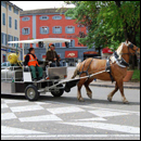 collecte hippomobile à Mâcon