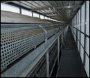 Interieur tunnel de transfert des convoyeurs maturation entre zones 7 et 8 - © Montpellier Agglomération