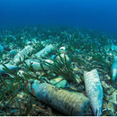 bouteilles plastiques imergées