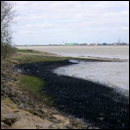 pollution de l'estuaire de la Loire