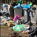 Les poubelles débordent à Nouméa