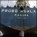 Probo Koala