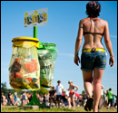 collecte des déchets à Rock en Seine