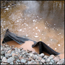 sédiments pollués