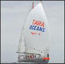 Bateau Tara Océan